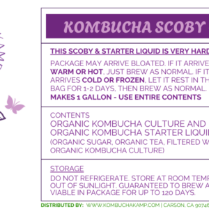 Fresh Kombucha SCOBYs - 2 Kombucha SCOBY Cultures