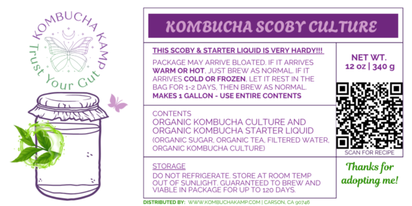 Fresh Kombucha SCOBYs - 2 Kombucha SCOBY Cultures