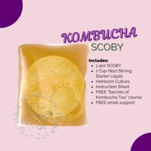 Kombucha SCOBY Culture