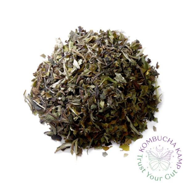 White Peony Tea