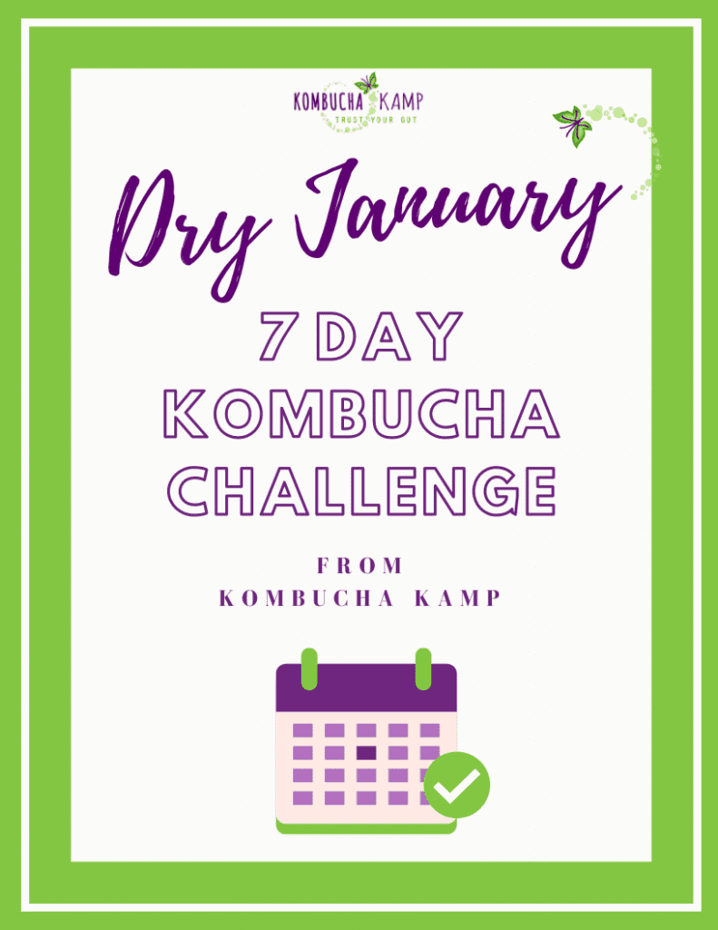 7 Day Kombucha Challenge