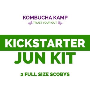 Kickstarter JUN Brew Kit - 2 Gallon Jun and 2 Jun Culture