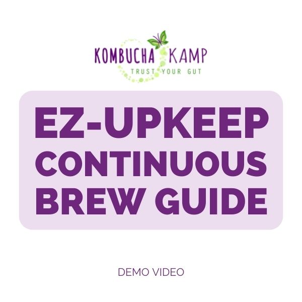 Continuous Jun/Kombucha UP Keep Video Guide Online