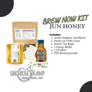 JUN (Jun Culture) Tea Brew Kit for Sale