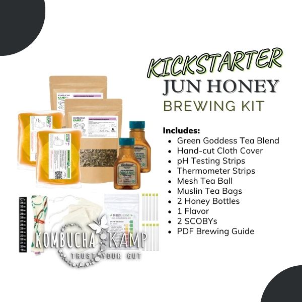 Kickstarter JUN Brew Kit - 2 Gallon Jun and 2 Jun Culture