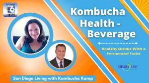 What is Kombucha cocktail