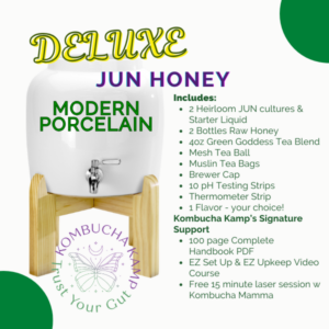 JUN Modern Porcelain Continuous Brewer Deluxe Package