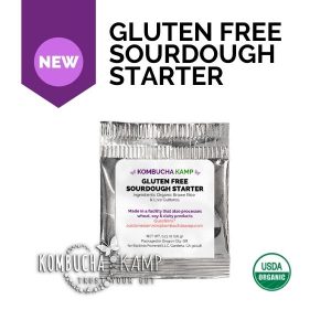 Gluten Free Sourdough Starter