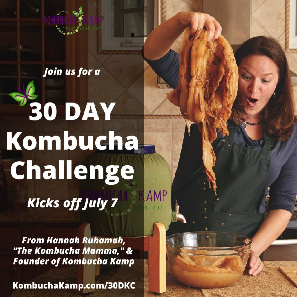 30 Day Kombucha Challenge Course