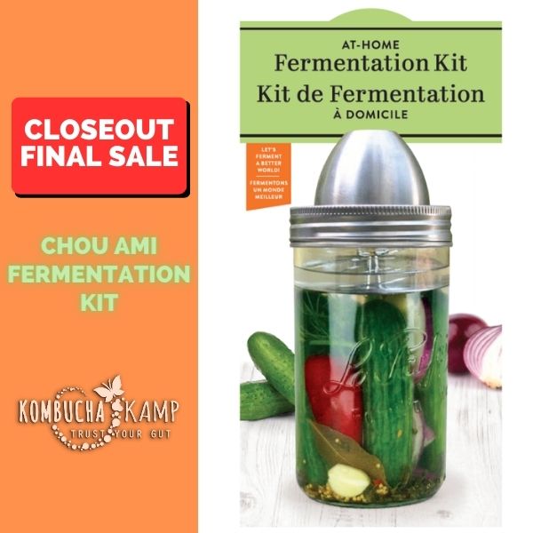 1L Fermentation Kit - Glass Jar and ChouAmi Steel Fermentation Device
