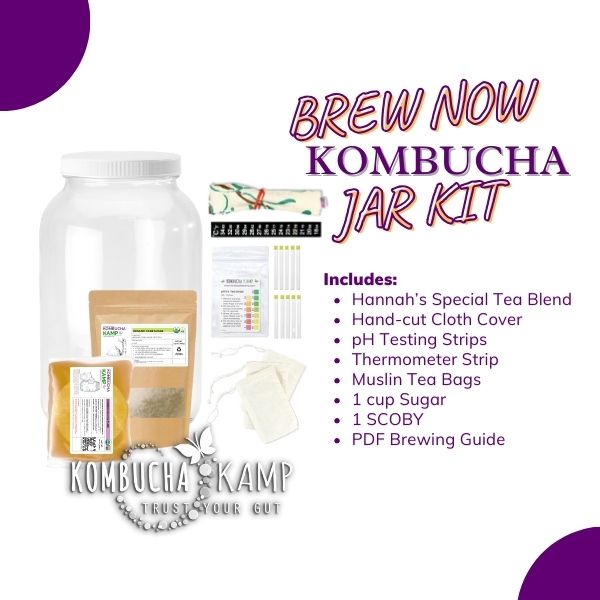 Buy Kombucha Brew Kit (for 2 Gallon) - 2 Scoby Cultures, Muslin Tea Bags,  Organic Cane Sugar, Steel Tea Ball, & More