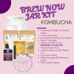 Kombucha Brew Now Jar Kit