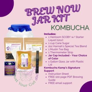 Kombucha Brew Now Jar Kit