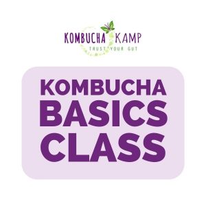 Kombucha Bacics Class, online digital course on how to brew Kombucha at home.