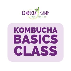 Basic kombucha recipe - 9Kitchen