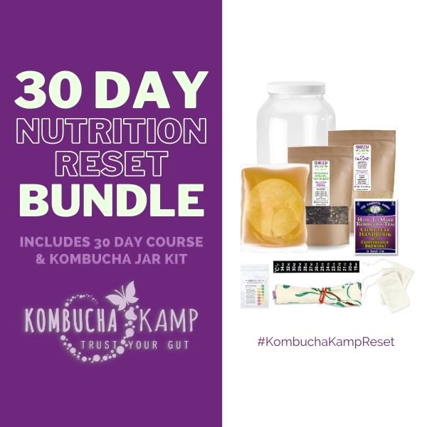 30 Day Kombucha Challenge Bundle with Jun Culture and Scoby