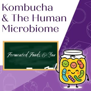 Kombucha, Fermented Foods & The Human Microbiome