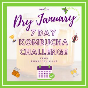 Dry January 7 Day Kombucha Challenge