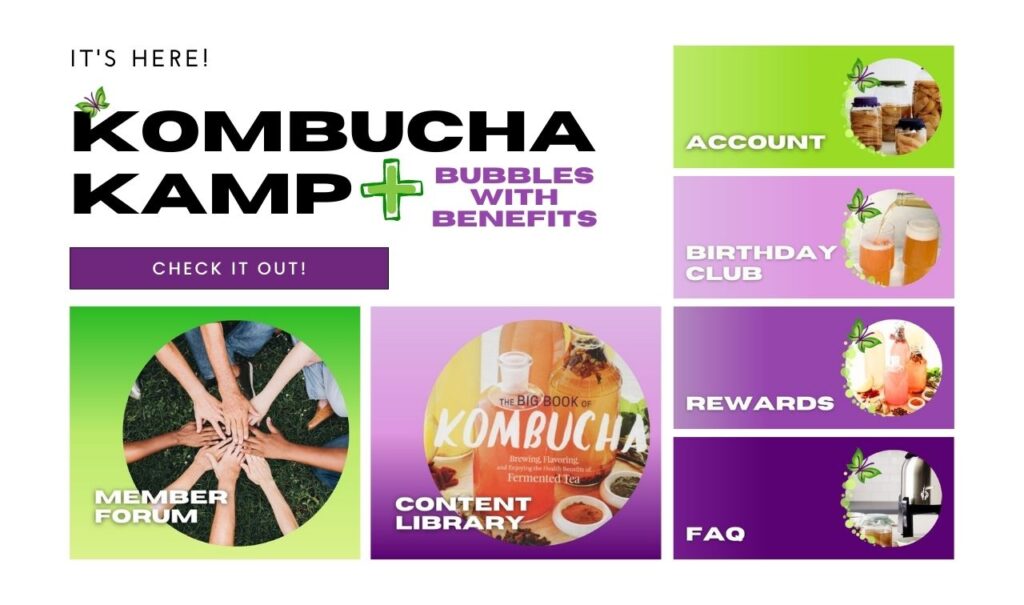 KKamp Banner_Bubbles