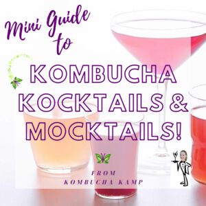 Kombucha Kocktails & Mocktails