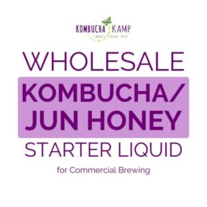 Wholesale Kombucha or Jun Strong Starter Liquid for Commercial Brewing