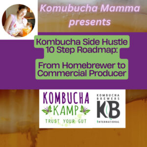 Kombucha Side Hustle 10 Step Roadmap
