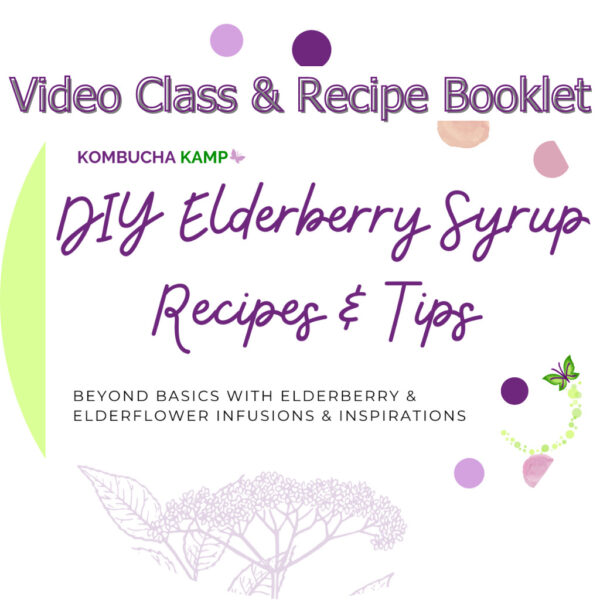 Elderberry Syrup Class