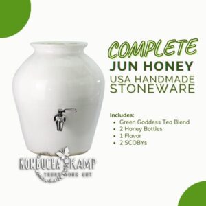 USA Handmade Stoneware Vessel Continuous Brew JUN Complete Package
