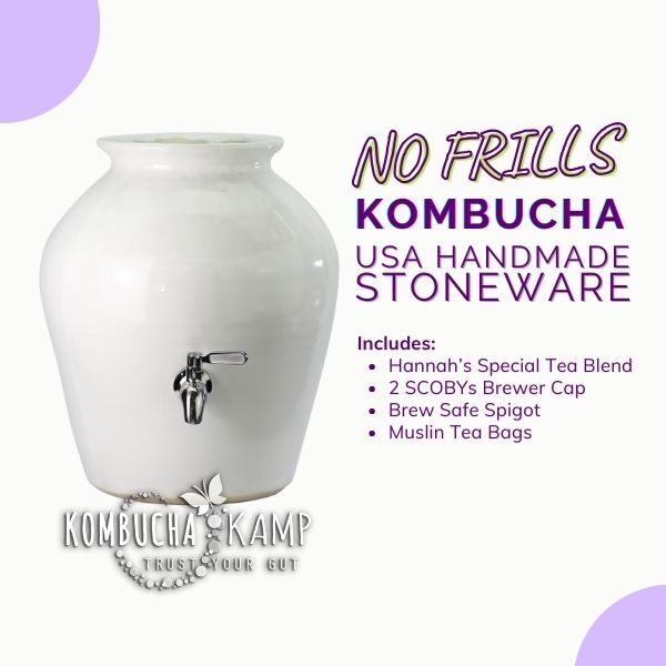 USA Handmade Stoneware Continuous Brew Kombucha No Frills Package