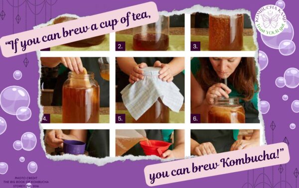 Secrets of Kombucha Tea Course