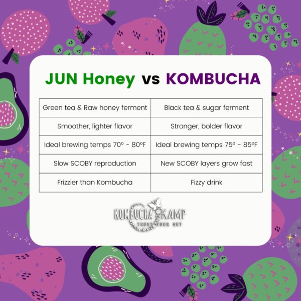 Kombucha SCOBY Culture - Image 2