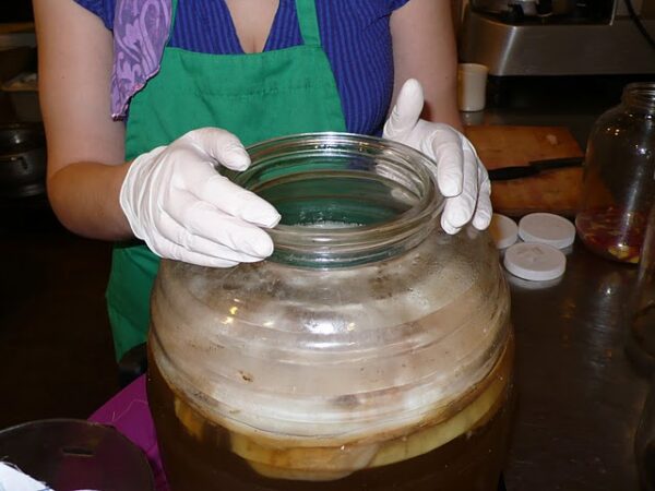 Kombucha Kamp Konsultation Klub - Image 3