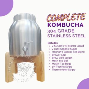 Stainless Steel Vessel With Continuous Kombucha Brew Complete Package