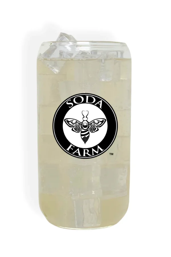 Ginger Ale Soda Concentrate