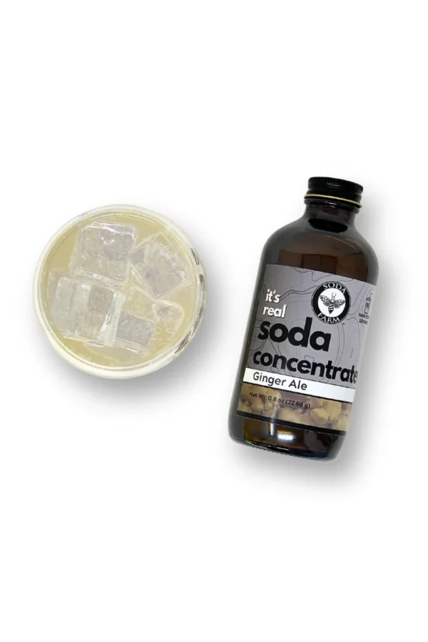 Ginger Ale Soda Concentrate - Image 2