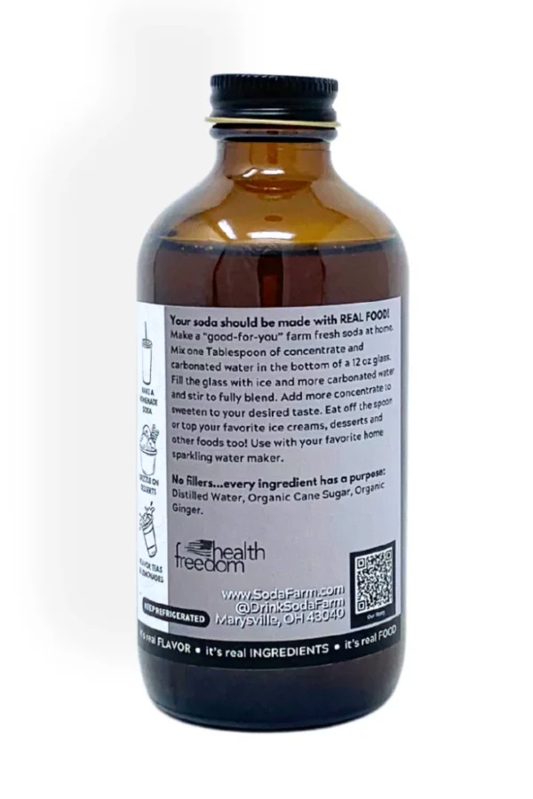 Ginger Ale Soda Concentrate - Image 4