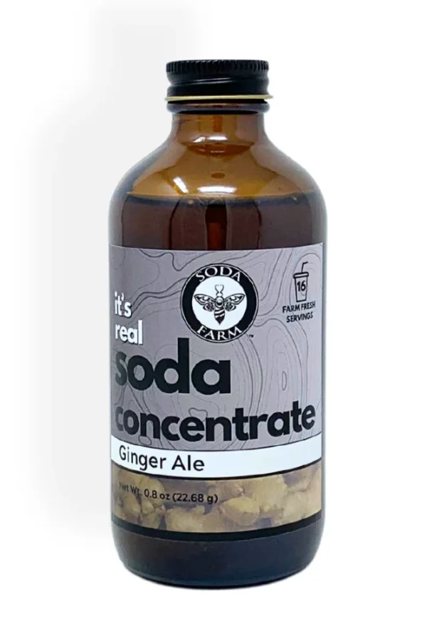 Ginger Ale Soda Concentrate - Image 3