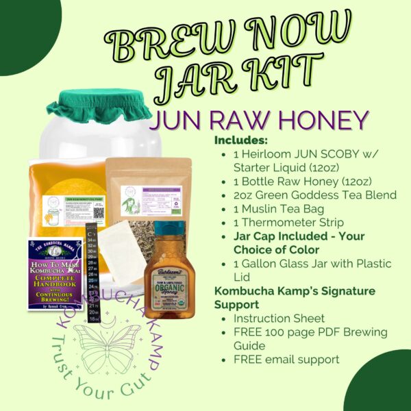 composite image of components of the JUN Raw Honey Brew Now Jar Kit which includes a culture, tea, raw honey, thermometer strip, muslin tea bag, glass jar and jar cap