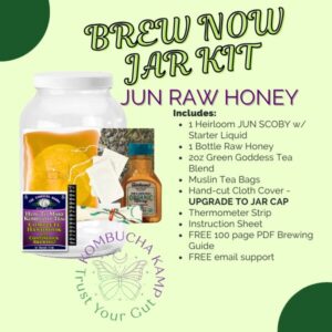 JUN Brew Now Jar Kit