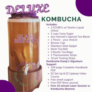 Glass Continuous Brewer Kombucha Deluxe Package