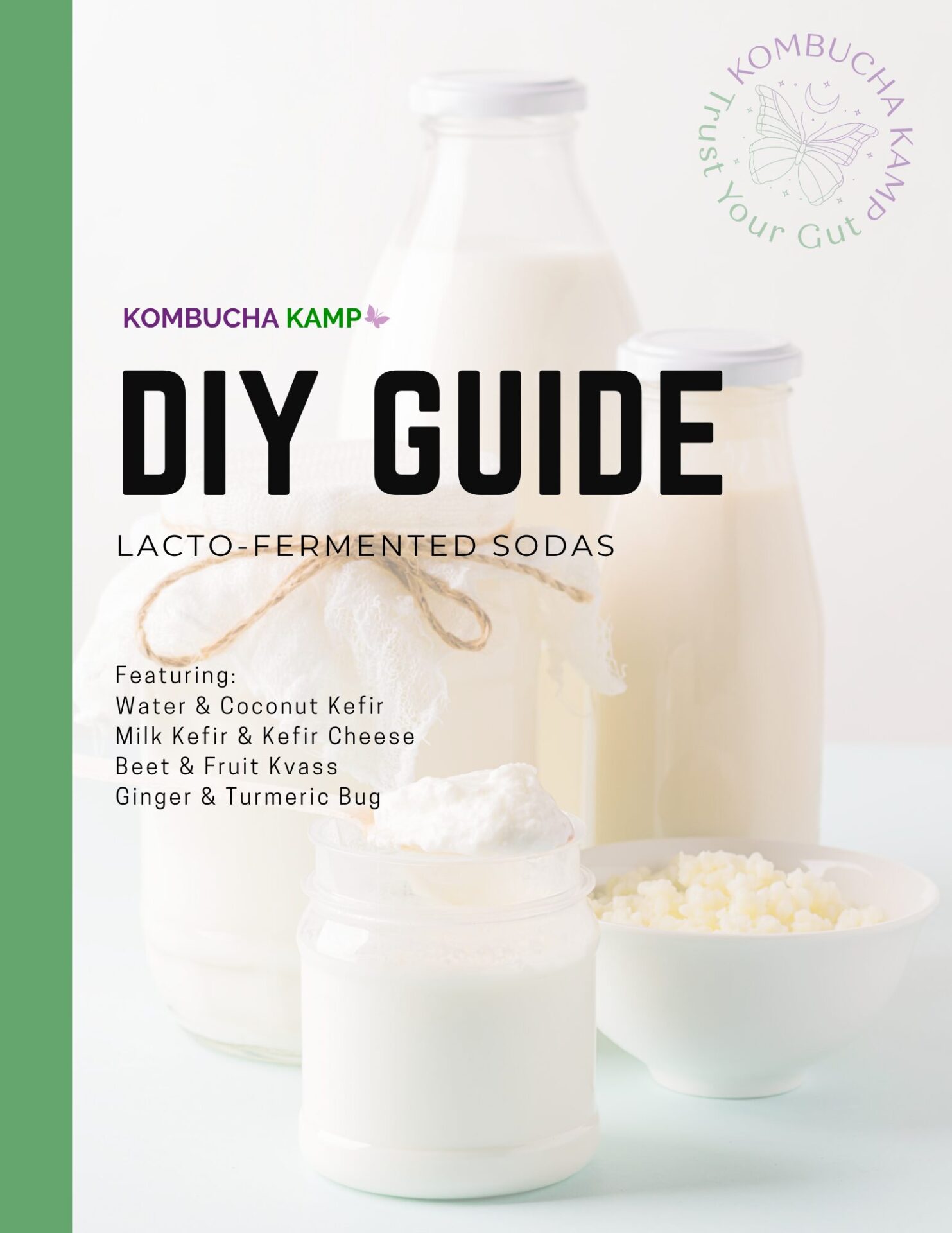 Lacto Fermented Guide Cover