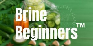 Brine Beginners
