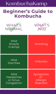 Kombucha Side Effects: The Healing Crisis - Kombucha Kamp