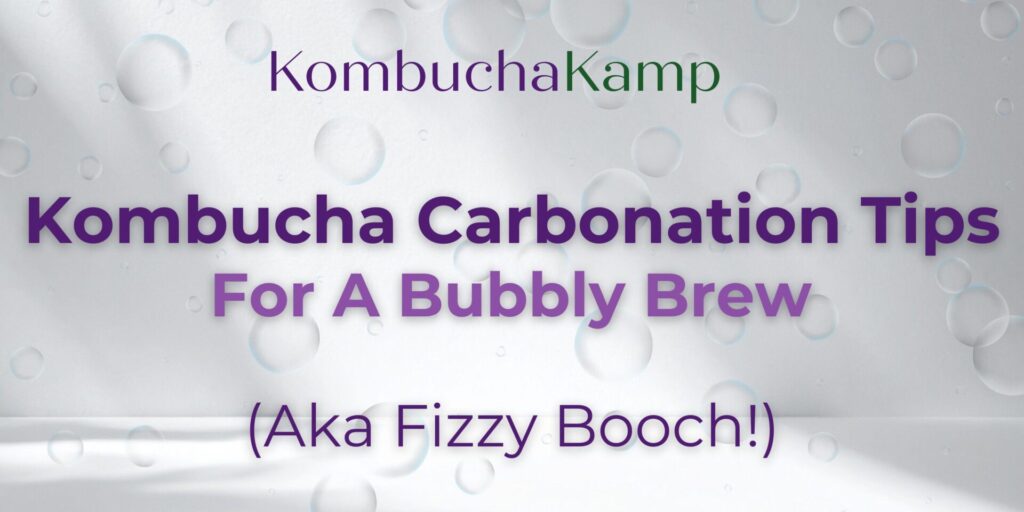 How to Carbonate Kombucha