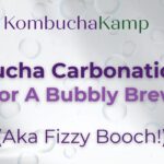 How to Carbonate Kombucha