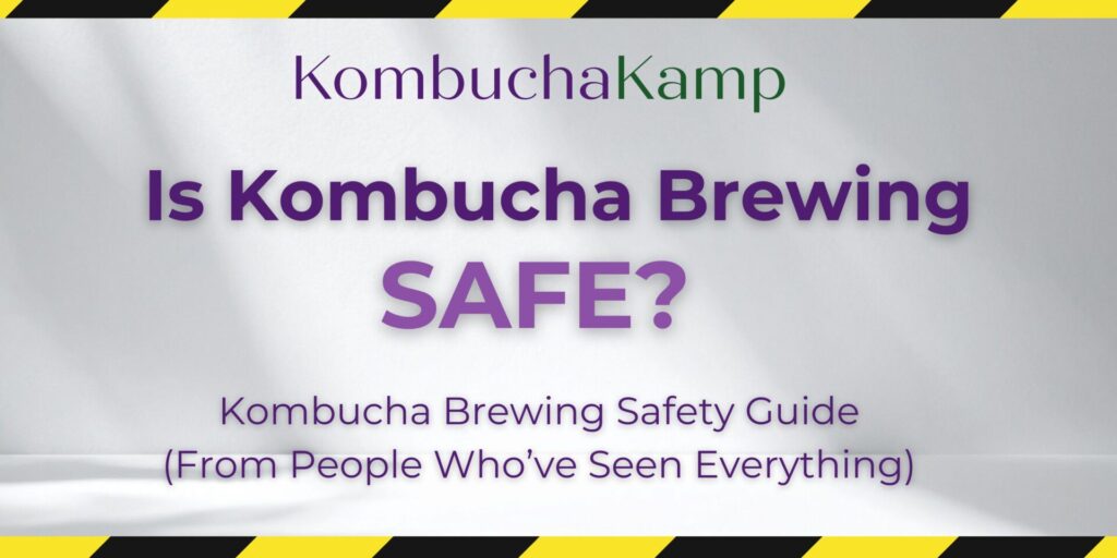 Is Kombucha Safe?