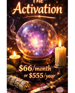 Ferment with the Stars — 2026 Zodiac Cycle (Activation Tier)