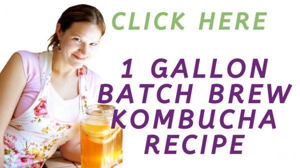 Kombucha recipe banner