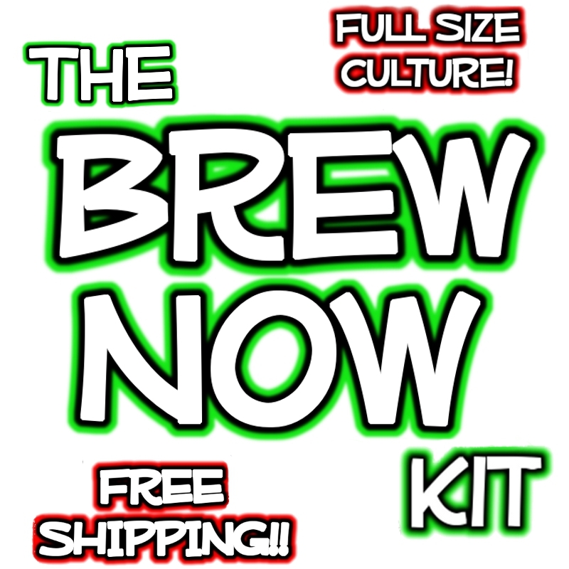 The Brew Now Kombucha Mushroom Kit by Kombucha Kamp