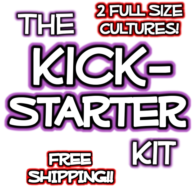 The Kickstarter Kombucha Mushroom Kit by Kombucha Mamma